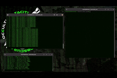 OSINT terminal output
